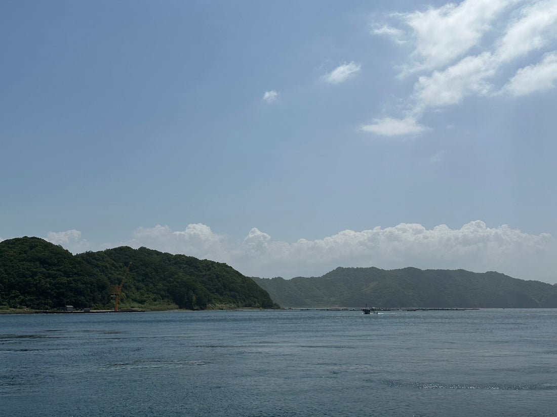 宇和島と海と自分の夢と